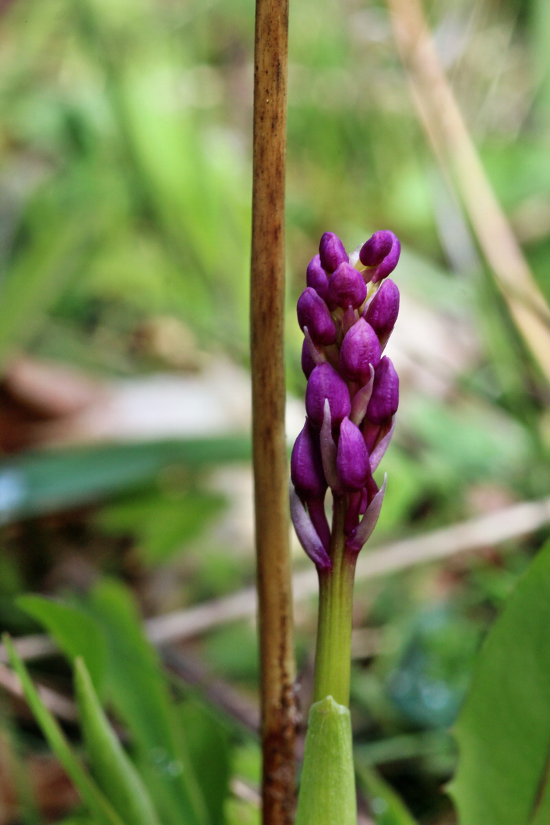 2014_04_15_00040236p_Bildgr��e �ndern