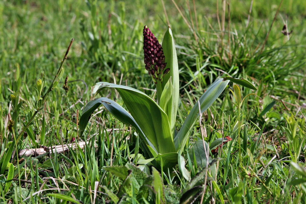 2014_04_15_00040237p_Bildgr��e �ndern