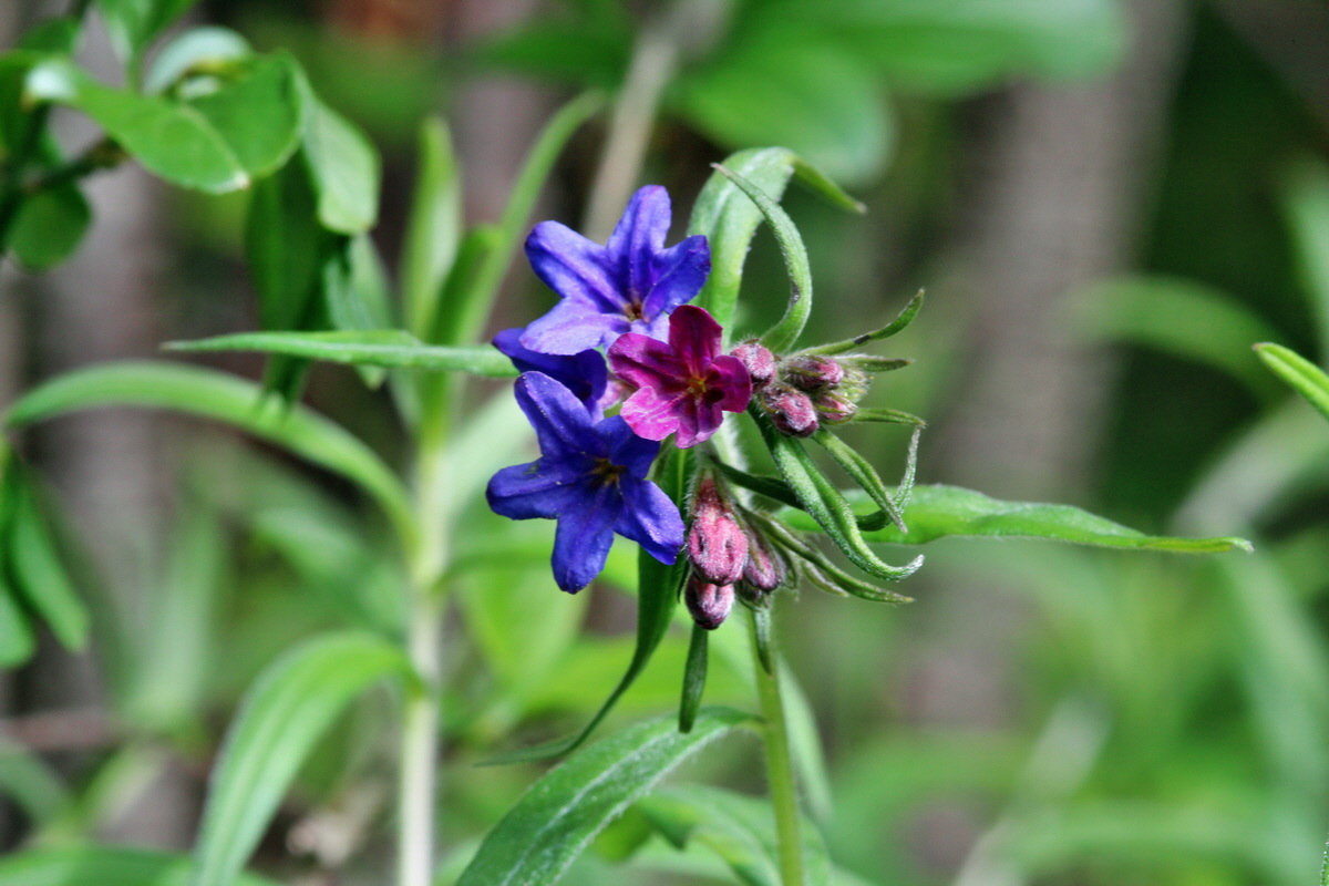 2014_04_15_00040242p_Bildgr��e �ndern