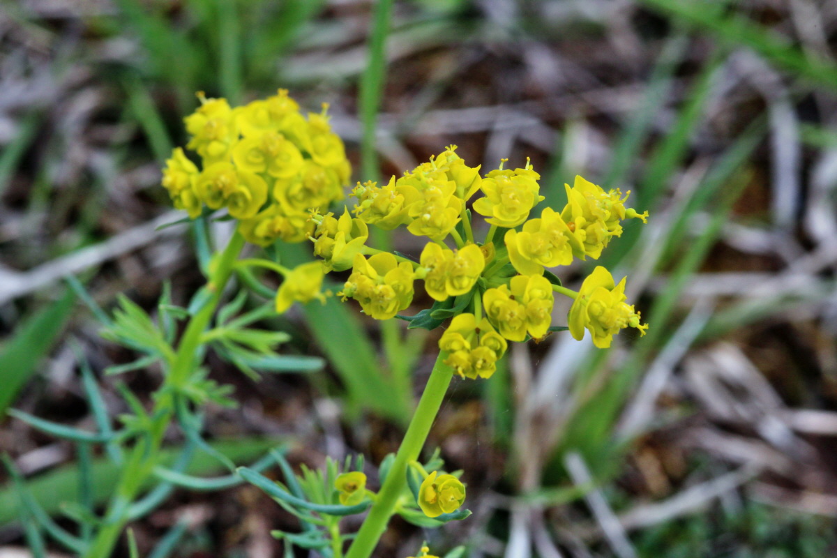 2014_04_15_00040245p_Bildgr��e �ndern