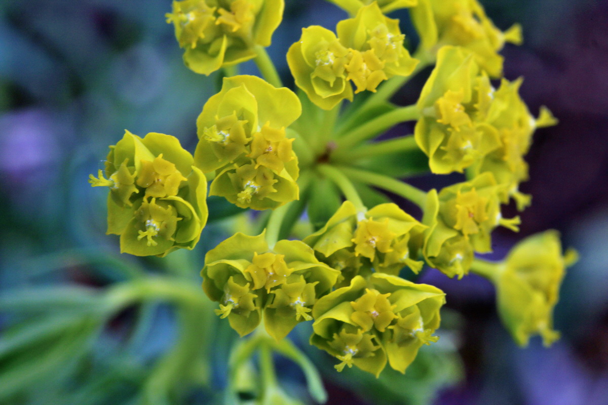 2014_04_15_00040249p_Bildgr��e �ndern