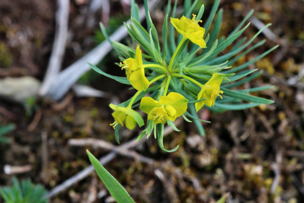 2014_04_15_00040252p_Bildgr��e �ndern