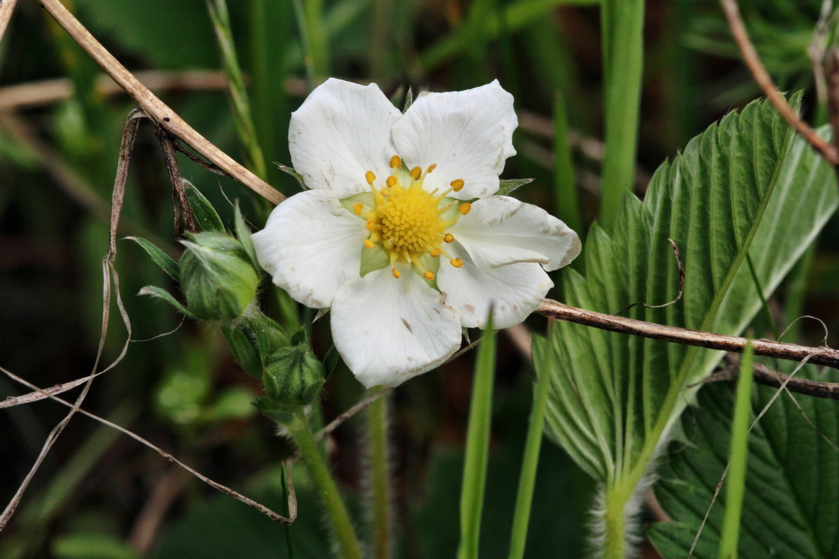 2014_04_15_00040254p_Bildgr��e �ndern