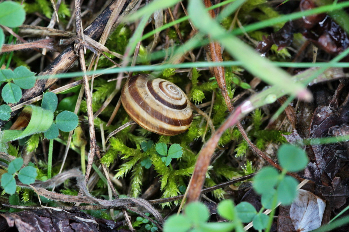 2014_04_15_00040258p_Bildgr��e �ndern