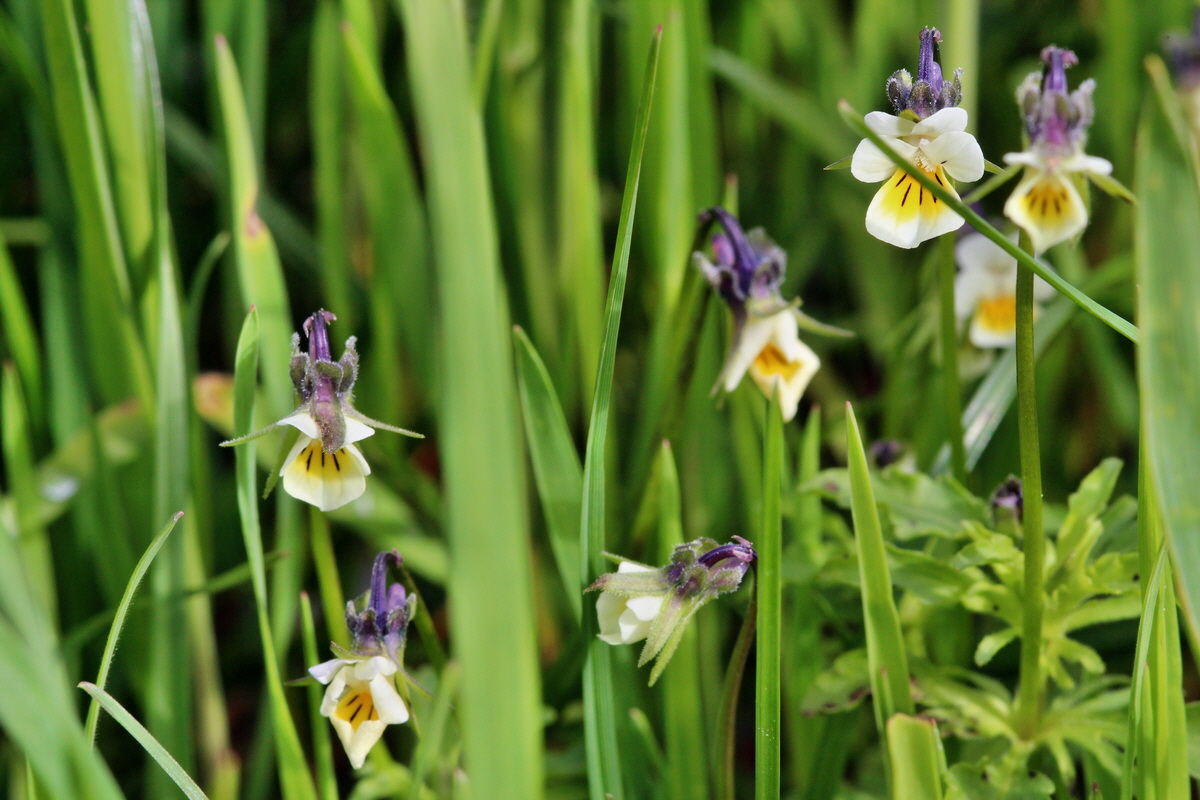 2014_04_15_00040263p_Bildgr��e �ndern