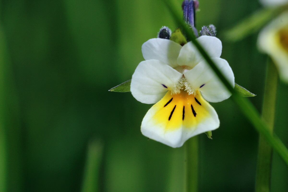 2014_04_15_00040269p_Bildgr��e �ndern