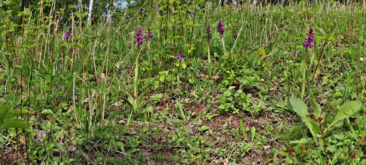 [Group 19]-2014_04_17_00040437_2014_04_17_00040463-9 imagesp_Bildgr��e �ndern