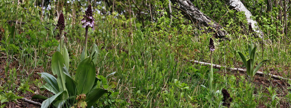 [Group 4]-2014_04_17_00040367_2014_04_17_00040369-2 imagesp_Bildgr��e �ndern