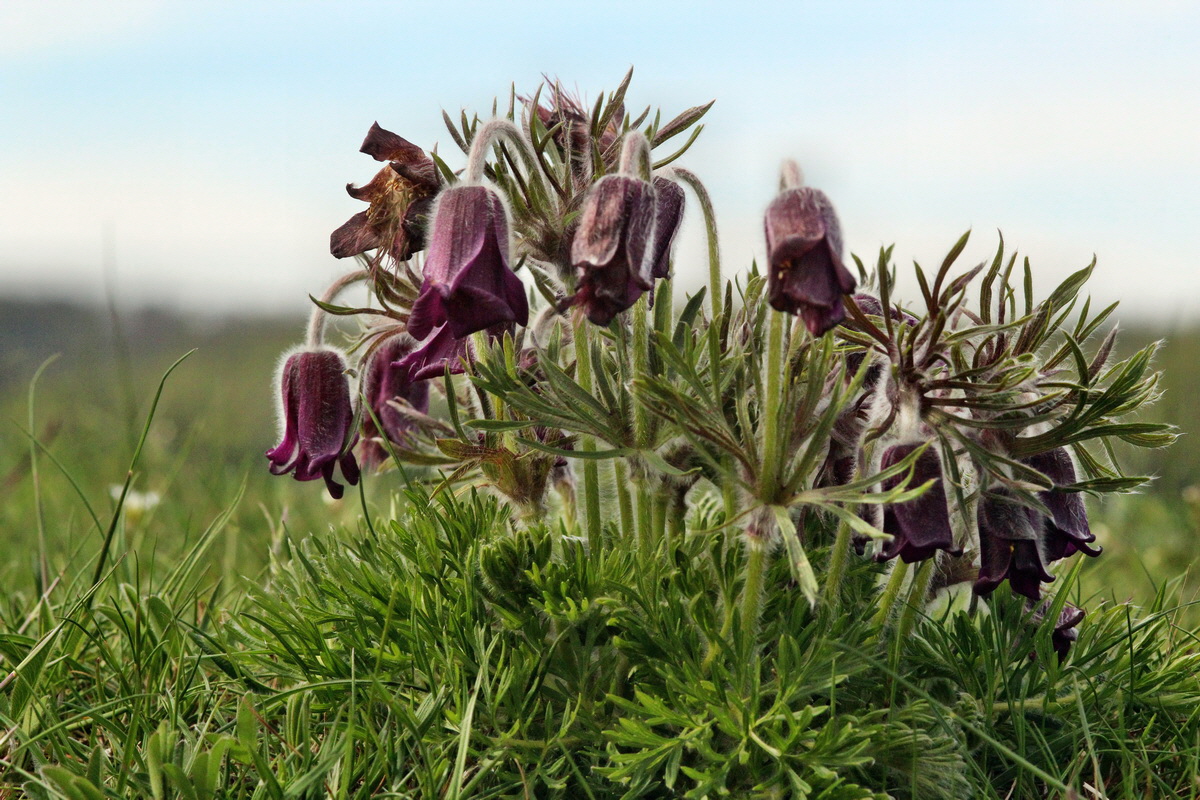 2014_04_17_00040279p_Bildgr��e �ndern