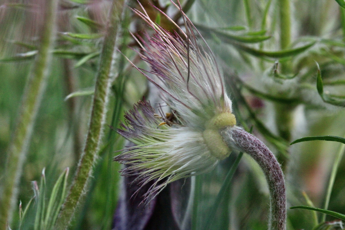 2014_04_17_00040286p_Bildgr��e �ndern