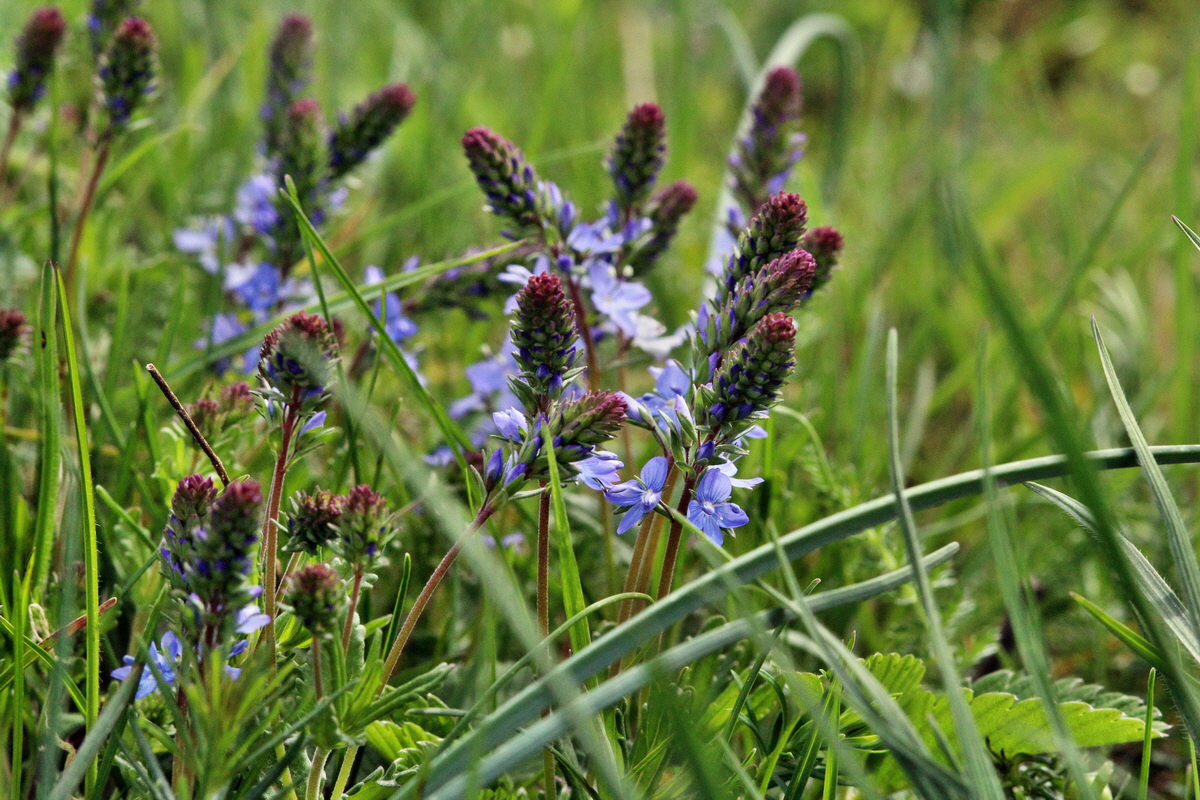 2014_04_17_00040292p_Bildgr��e �ndern