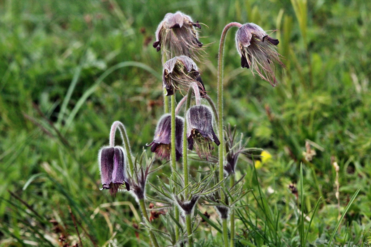 2014_04_17_00040297p_Bildgr��e �ndern