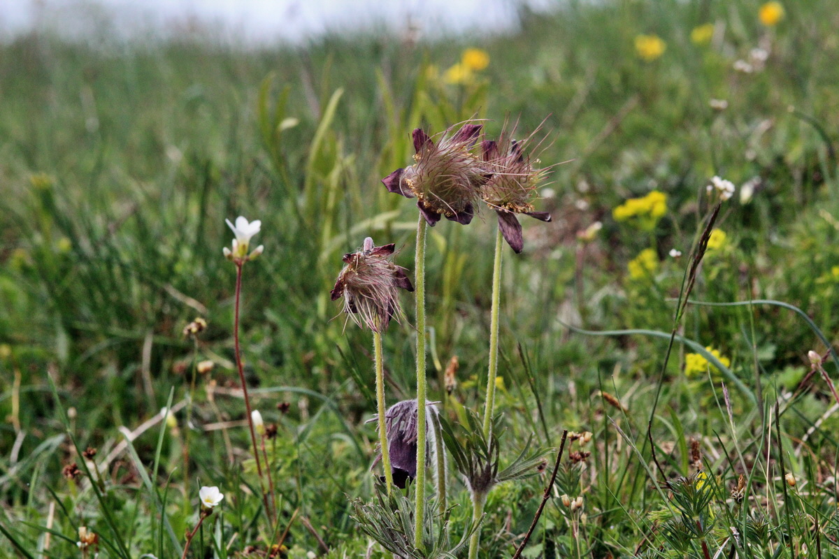 2014_04_17_00040301p_Bildgr��e �ndern