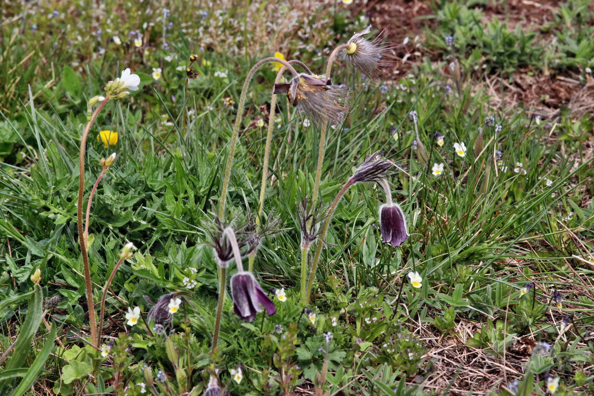 2014_04_17_00040303p_Bildgr��e �ndern