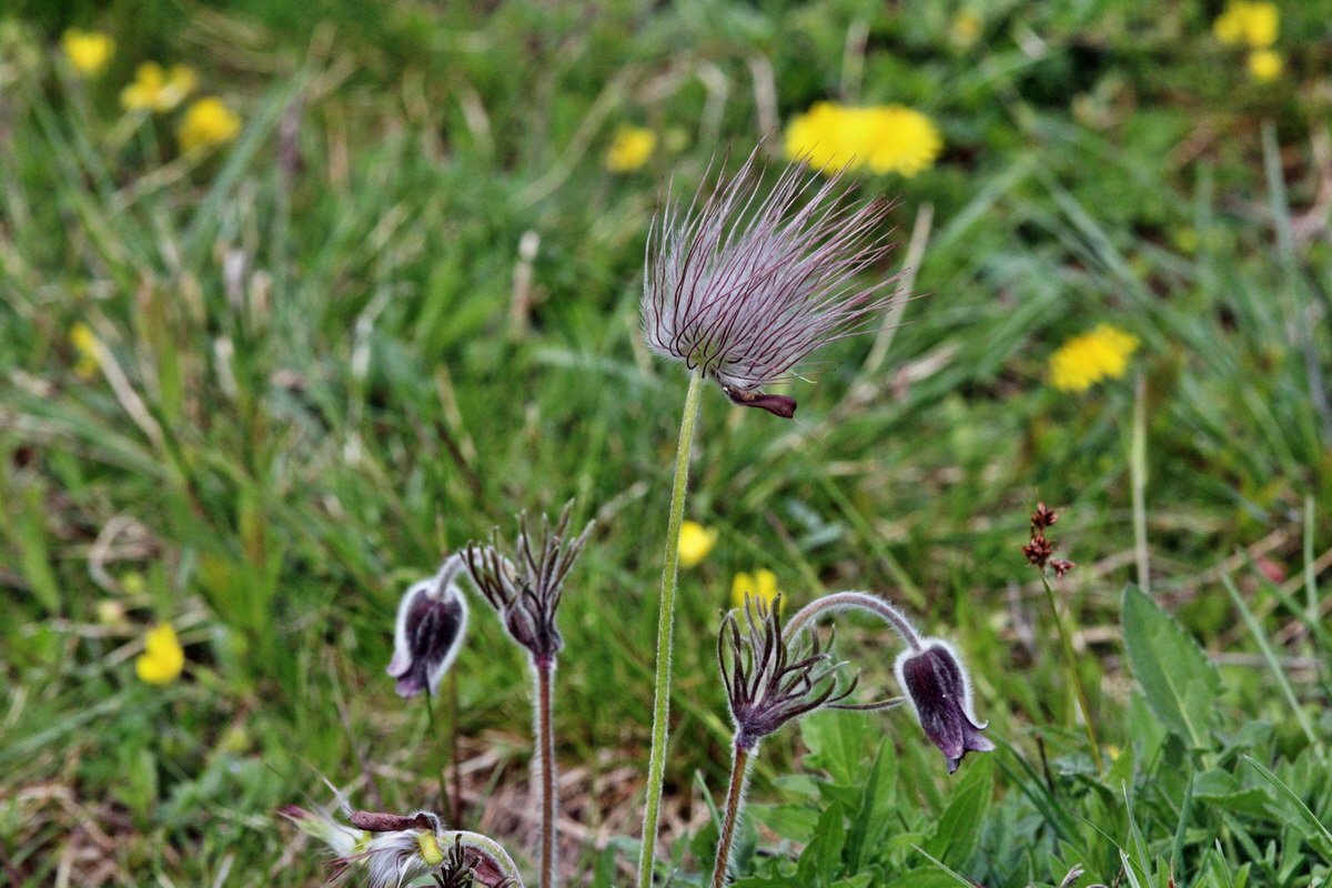 2014_04_17_00040306p_Bildgr��e �ndern