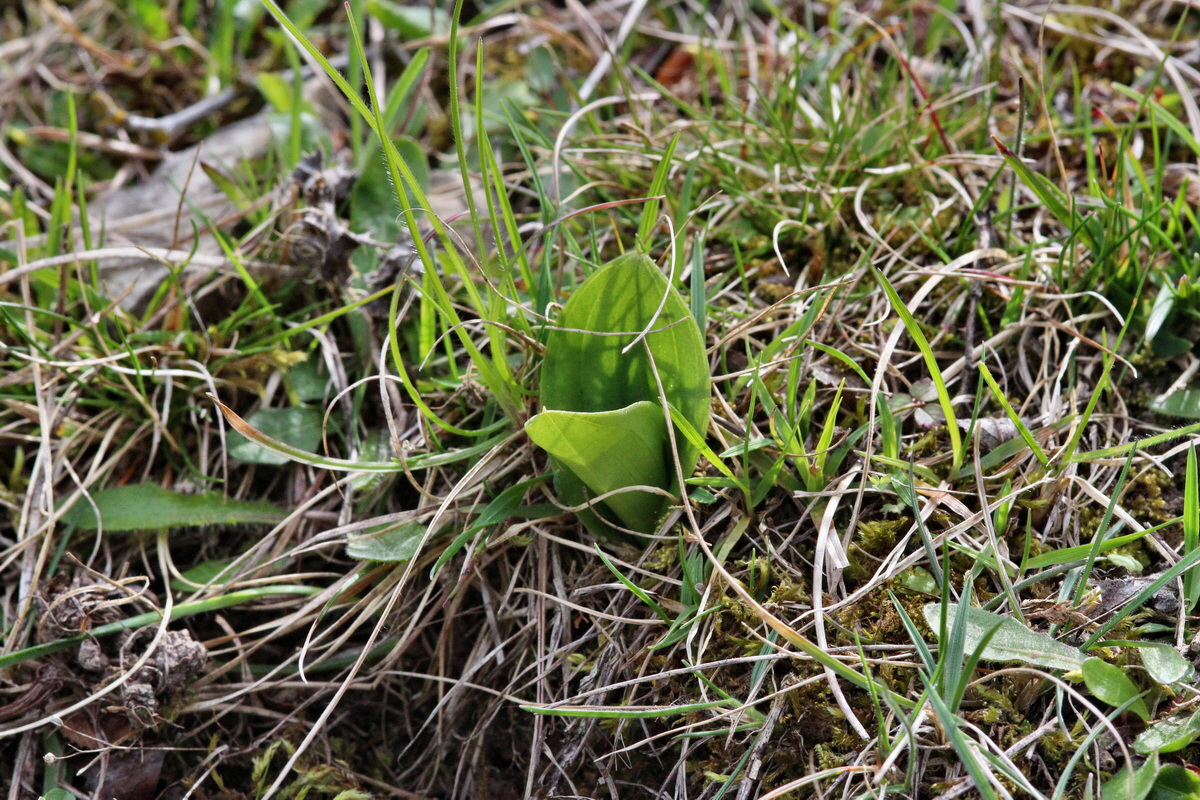 2014_04_17_00040310p_Bildgr��e �ndern