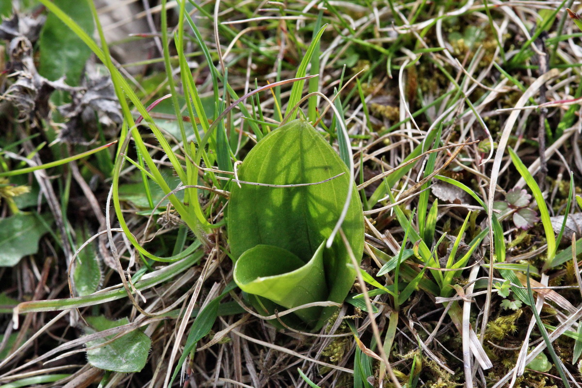 2014_04_17_00040312p_Bildgr��e �ndern