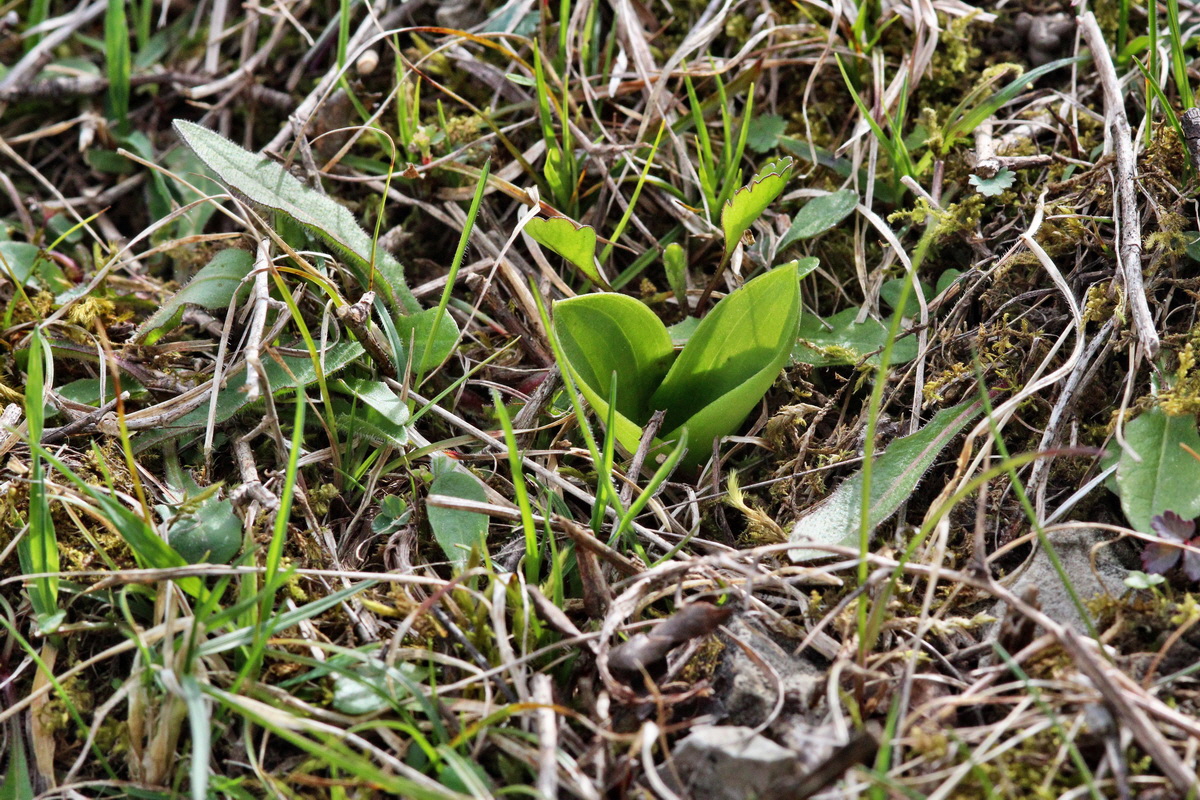 2014_04_17_00040315p_Bildgr��e �ndern