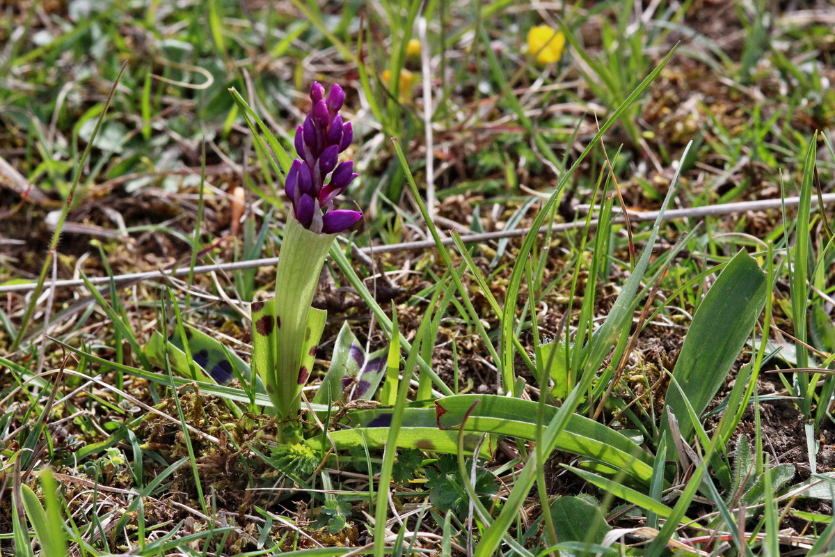 2014_04_17_00040317p_Bildgr��e �ndern