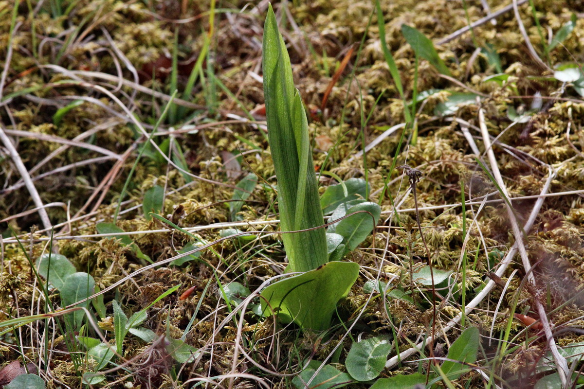 2014_04_17_00040321p_Bildgr��e �ndern