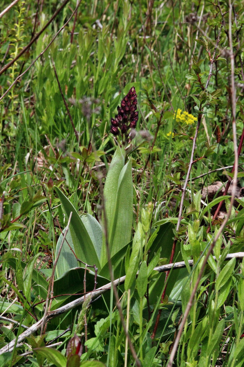 2014_04_17_00040334p_Bildgr��e �ndern