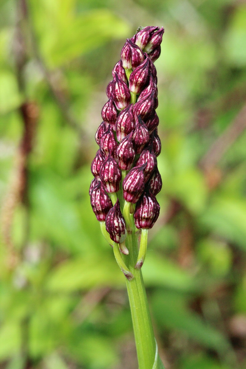 2014_04_17_00040347p_Bildgr��e �ndern