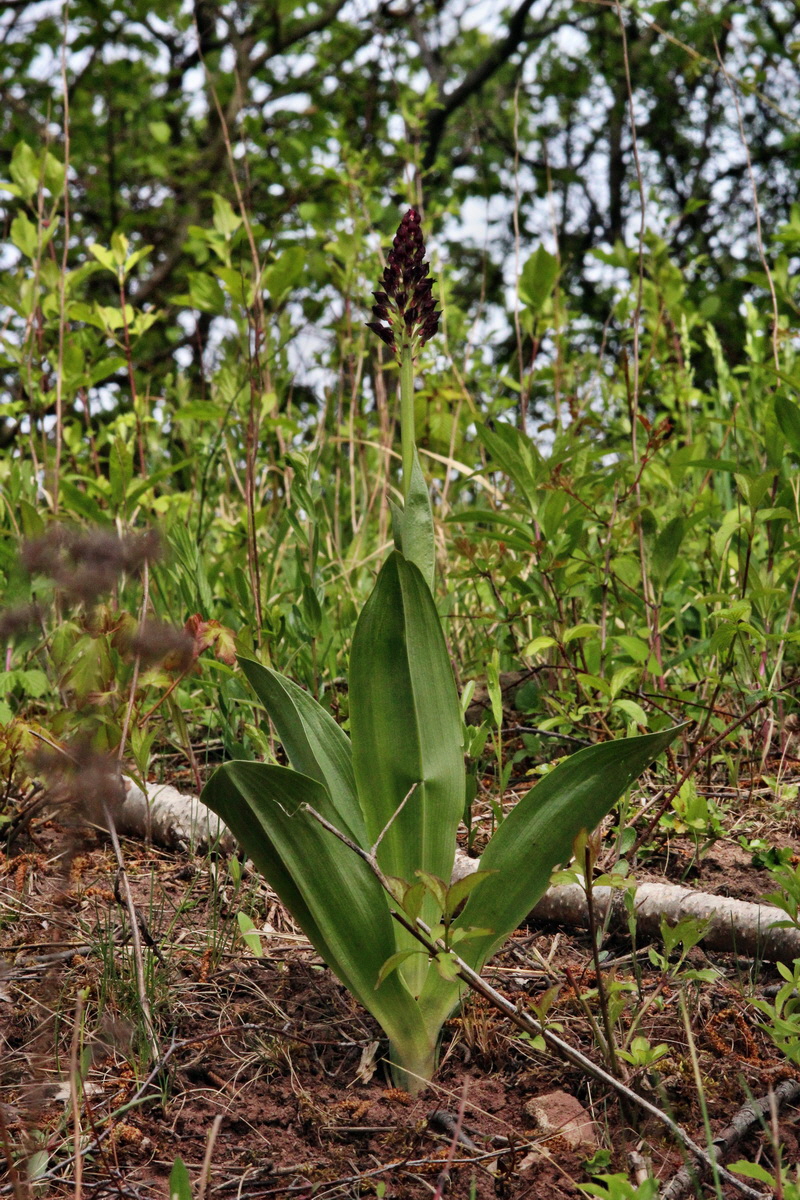 2014_04_17_00040355p_Bildgr��e �ndern