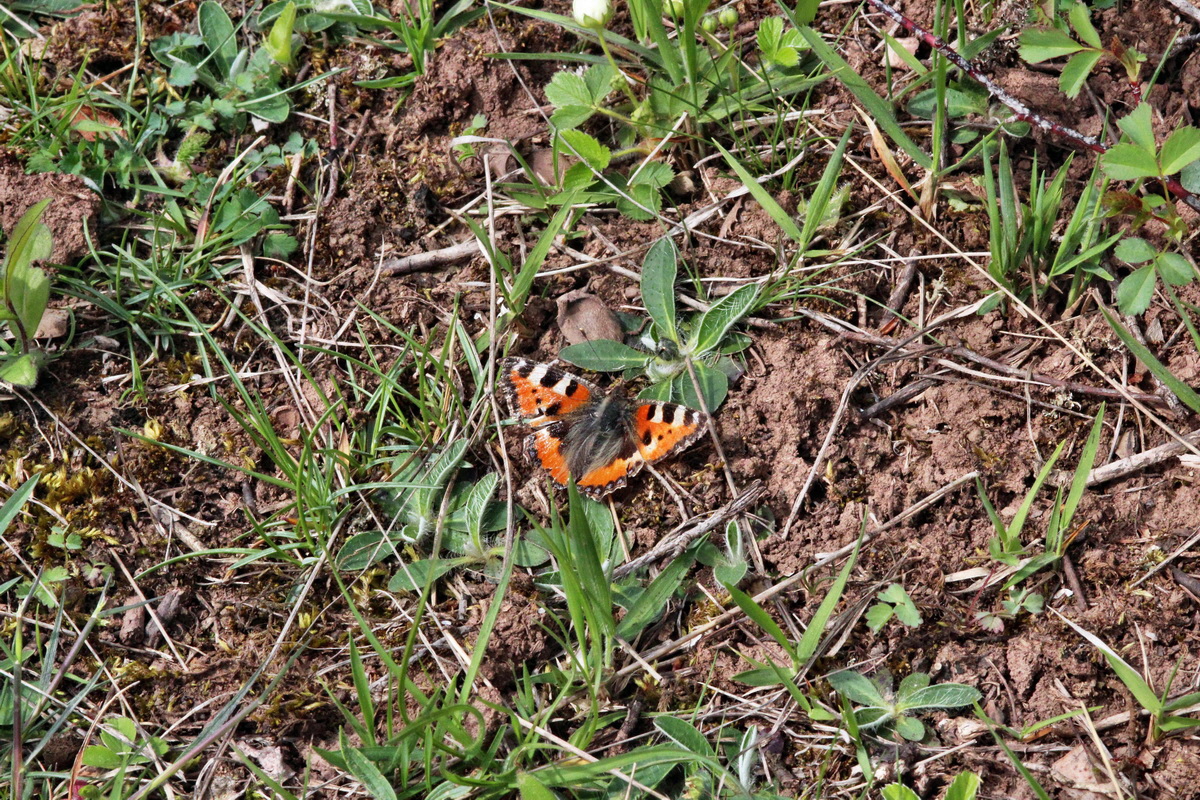 2014_04_17_00040371p_Bildgr��e �ndern