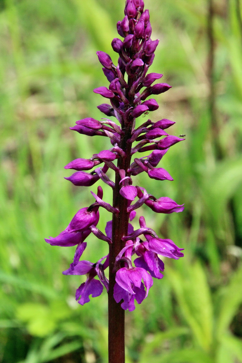 2014_04_17_00040399p_Bildgr��e �ndern