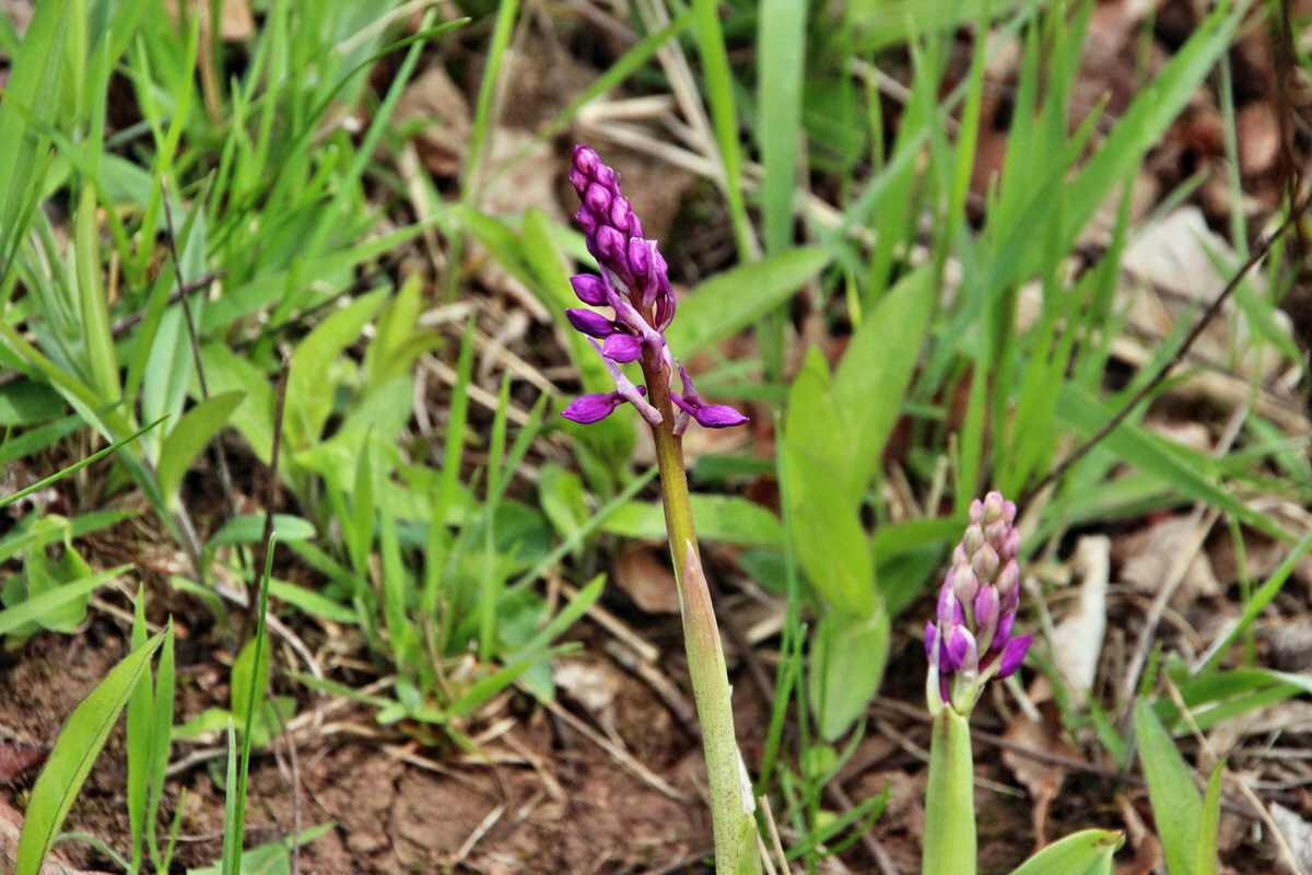 2014_04_17_00040412p_Bildgr��e �ndern