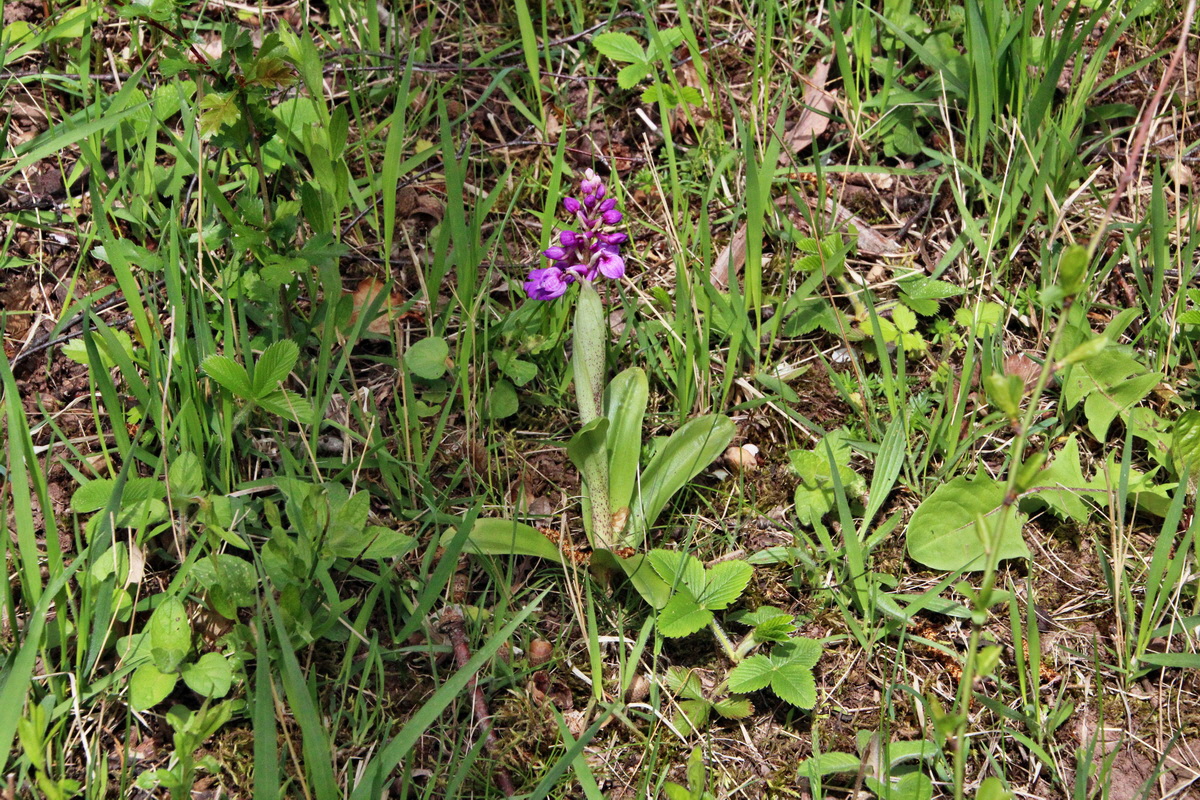 2014_04_17_00040470p_Bildgr��e �ndern