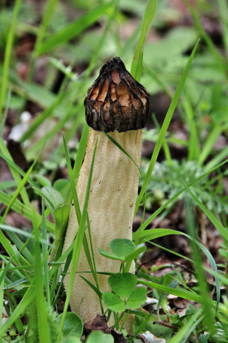 2014_04_17_00040478p_Bildgr��e �ndern