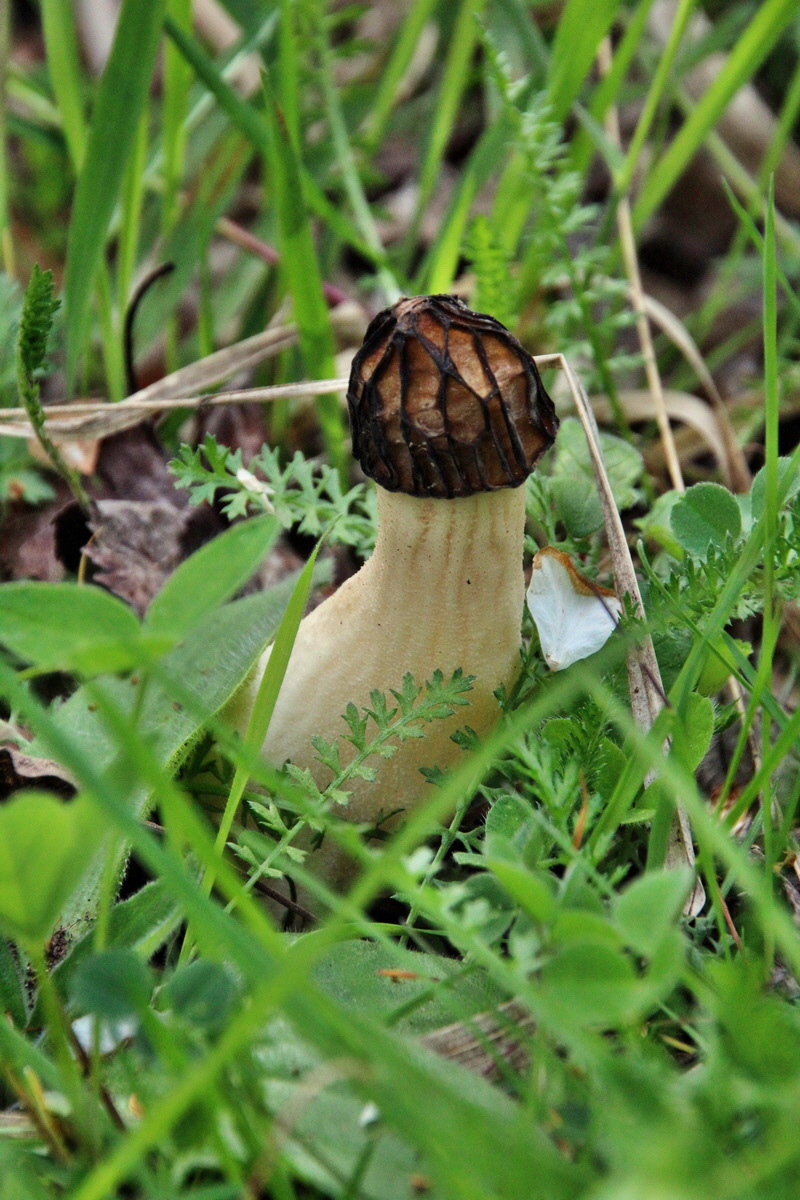 2014_04_17_00040481p_Bildgr��e �ndern