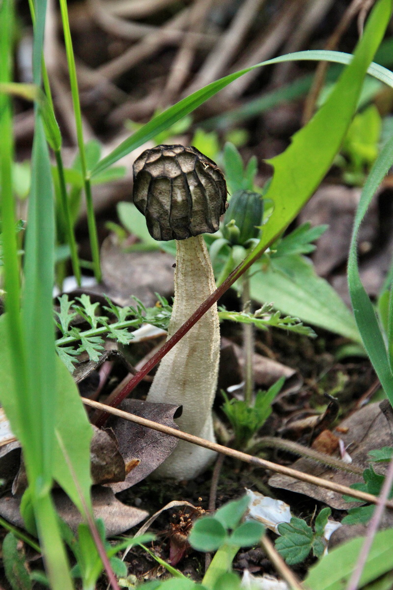 2014_04_17_00040483p_Bildgr��e �ndern