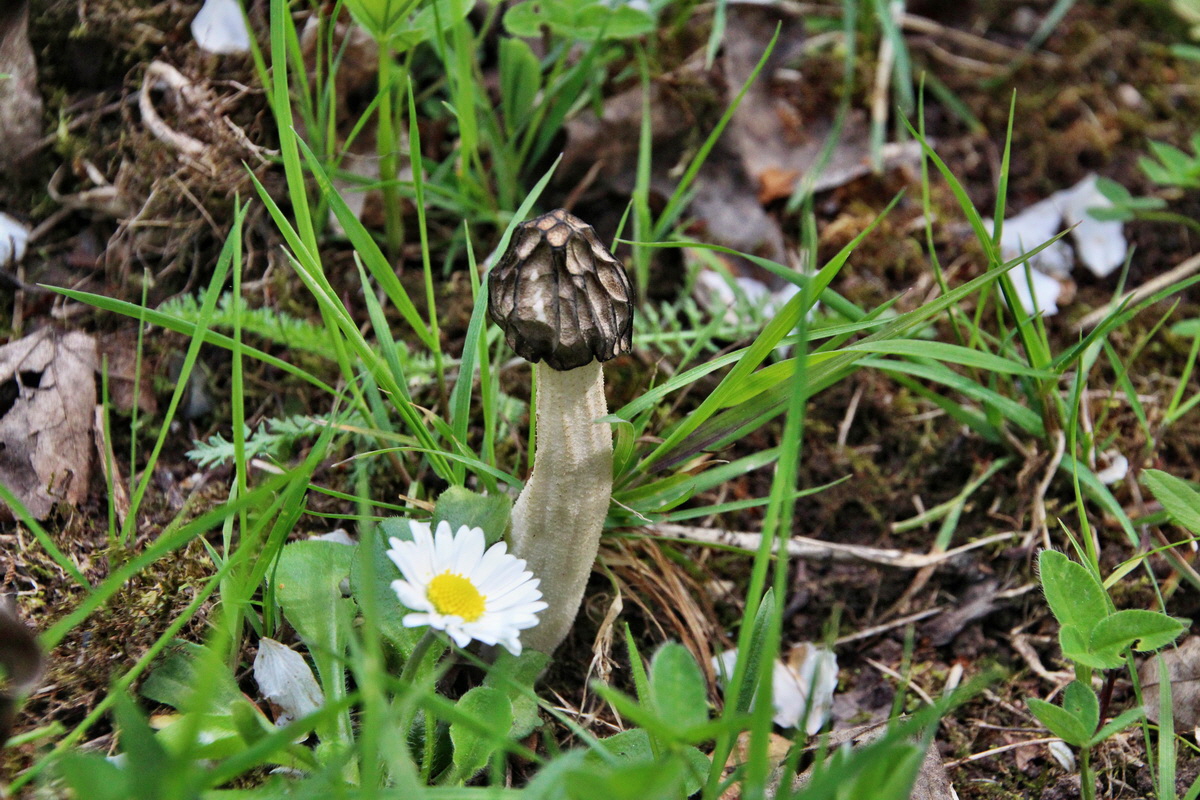 2014_04_17_00040488p_Bildgr��e �ndern