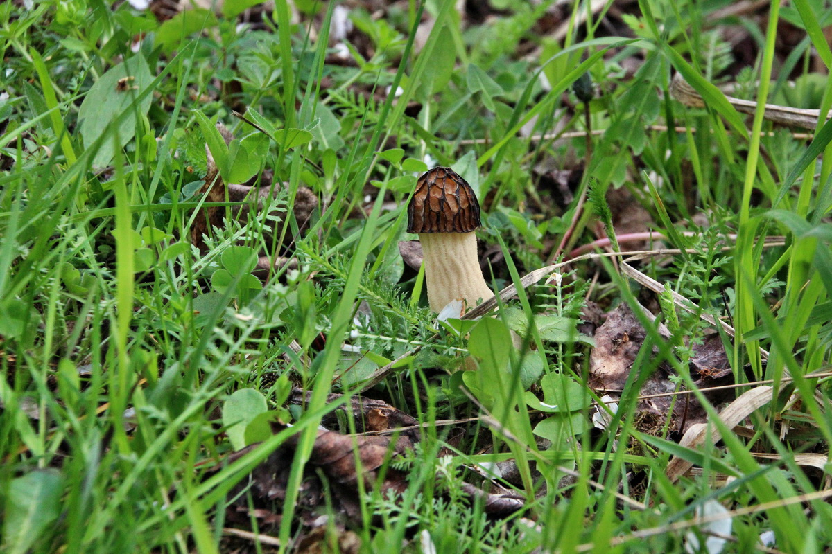 2014_04_17_00040490p_Bildgr��e �ndern