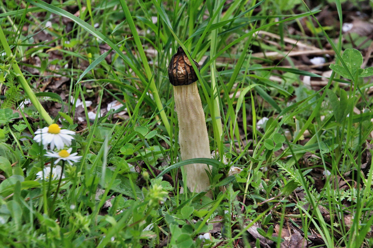 2014_04_17_00040491p_Bildgr��e �ndern