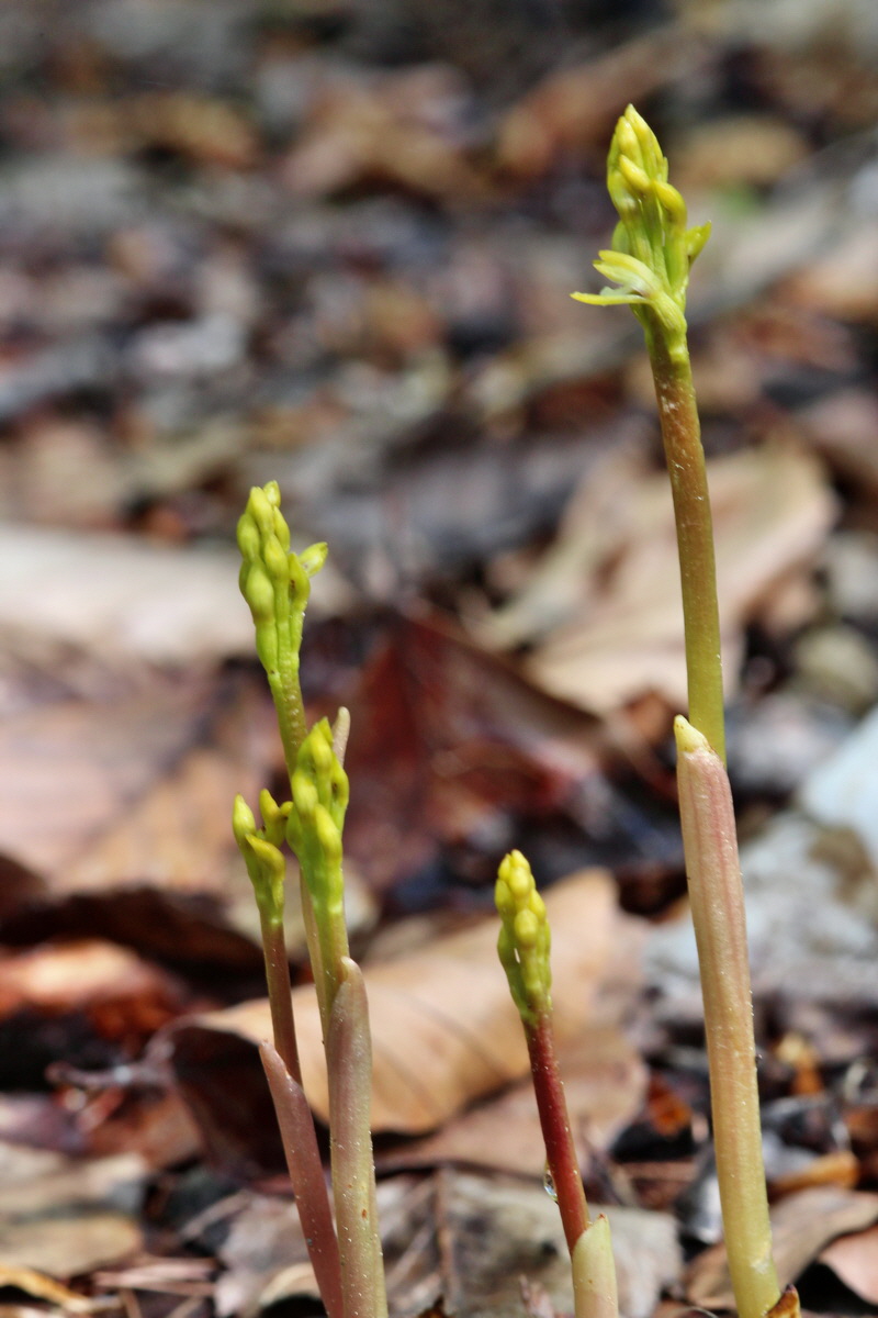 2014_04_21_00040515p_Bildgr��e �ndern