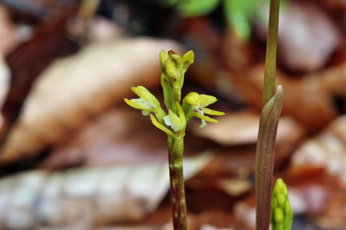 2014_04_21_00040523p_Bildgr��e �ndern