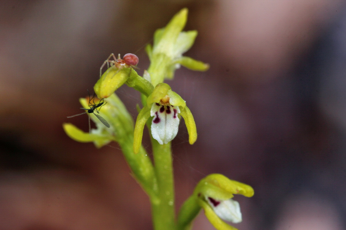 2014_04_21_00040528p_Bildgr��e �ndern