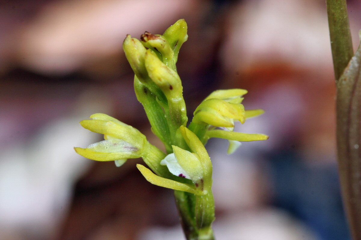 2014_04_21_00040531p_Bildgr��e �ndern