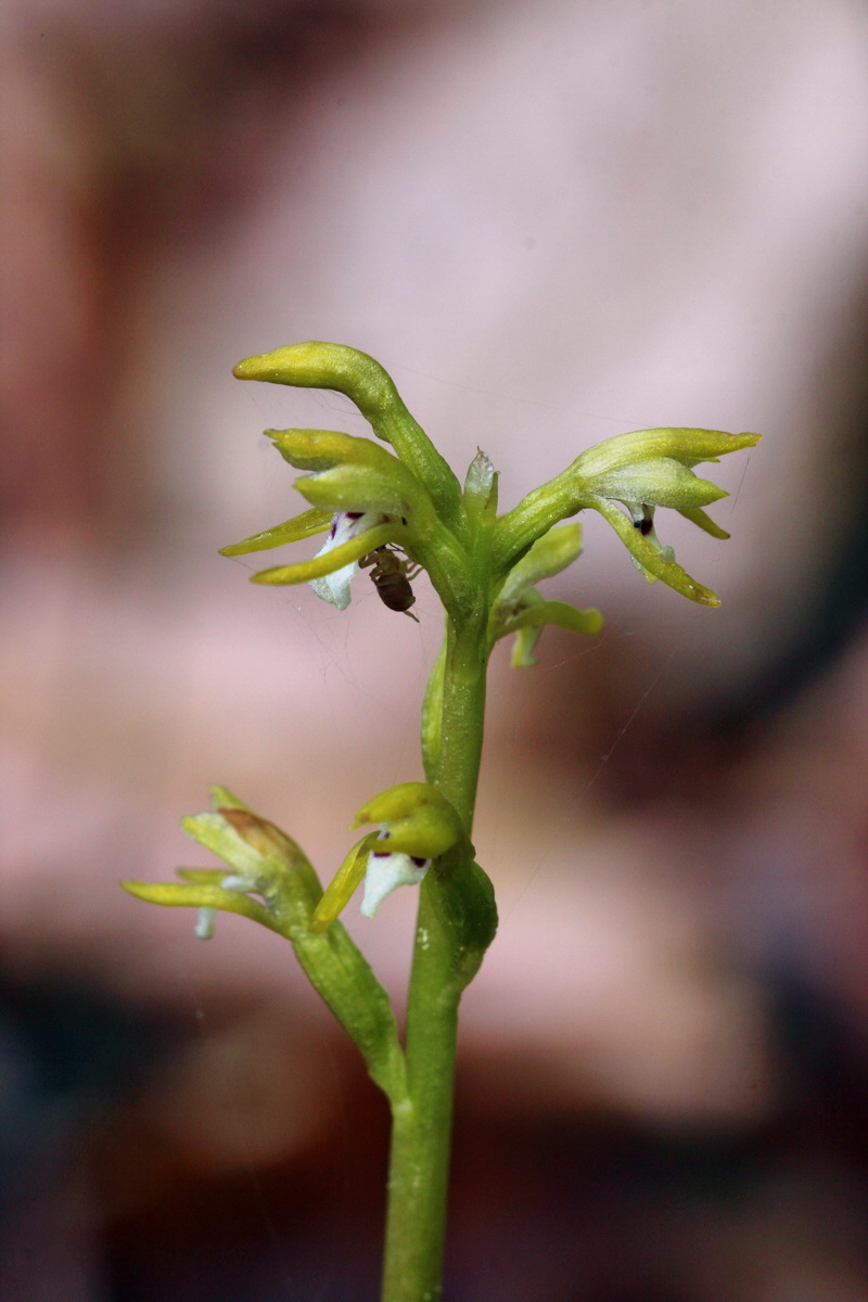 2014_04_21_00040533p_Bildgr��e �ndern