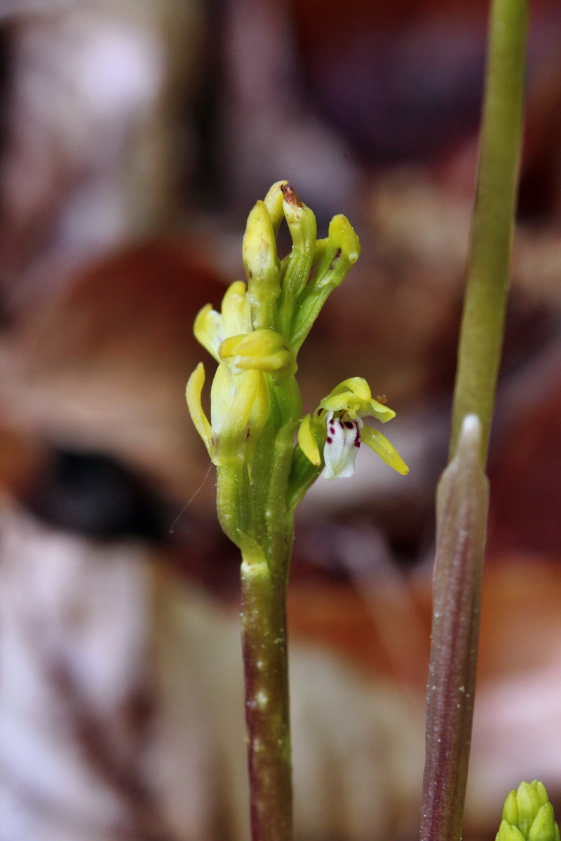 2014_04_21_00040537p_Bildgr��e �ndern