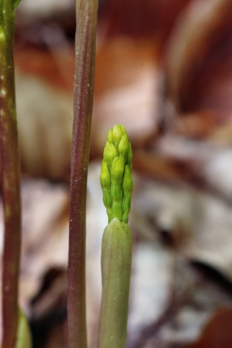 2014_04_21_00040540p_Bildgr��e �ndern