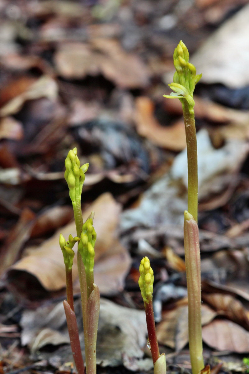 2014_04_21_00040543p_Bildgr��e �ndern