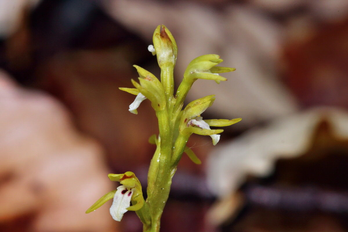 2014_04_21_00040552p_Bildgr��e �ndern