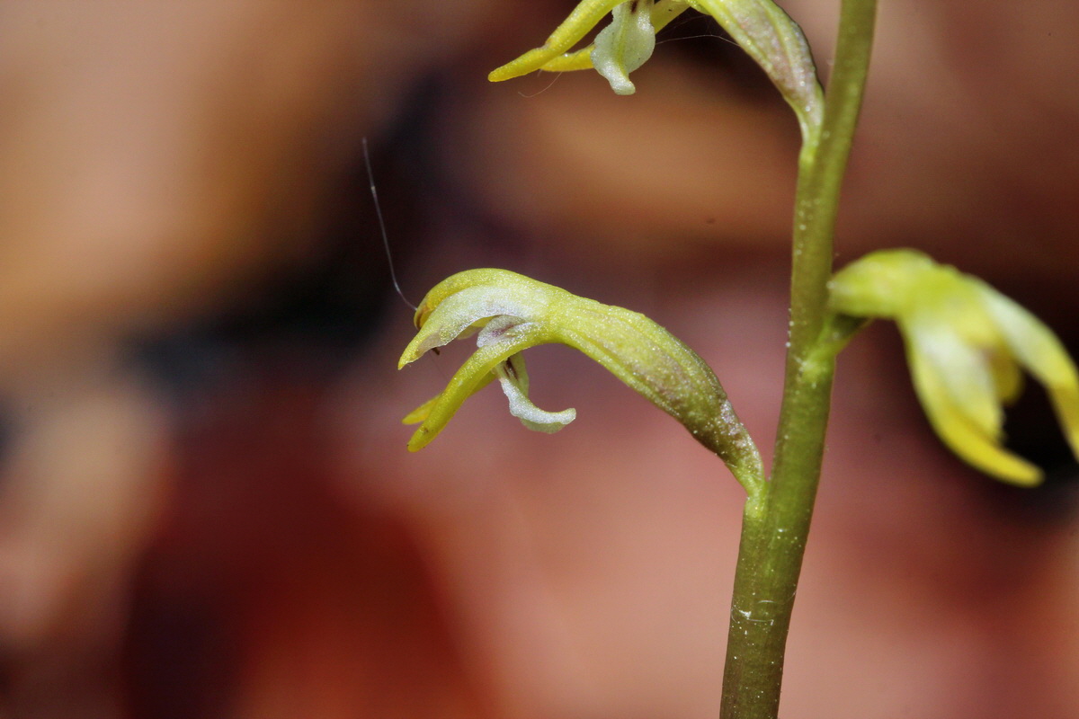 2014_04_21_00040555p_Bildgr��e �ndern