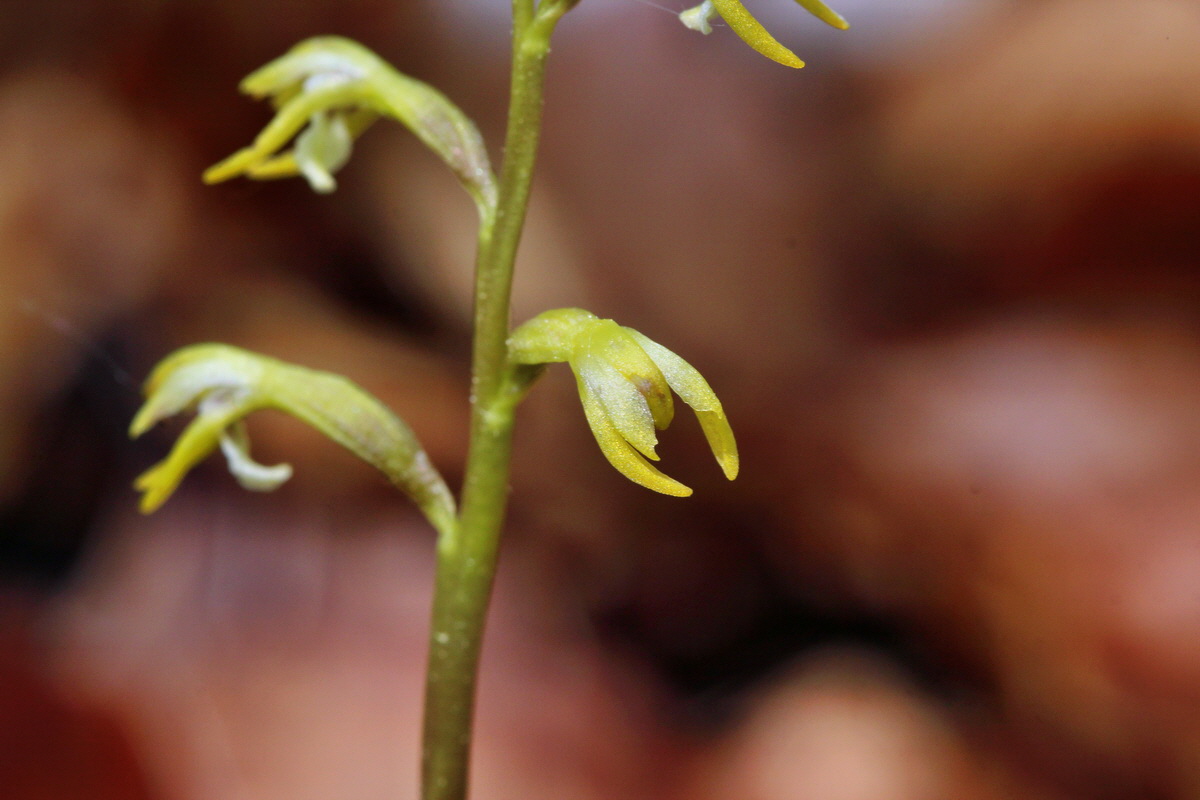 2014_04_21_00040559p_Bildgr��e �ndern