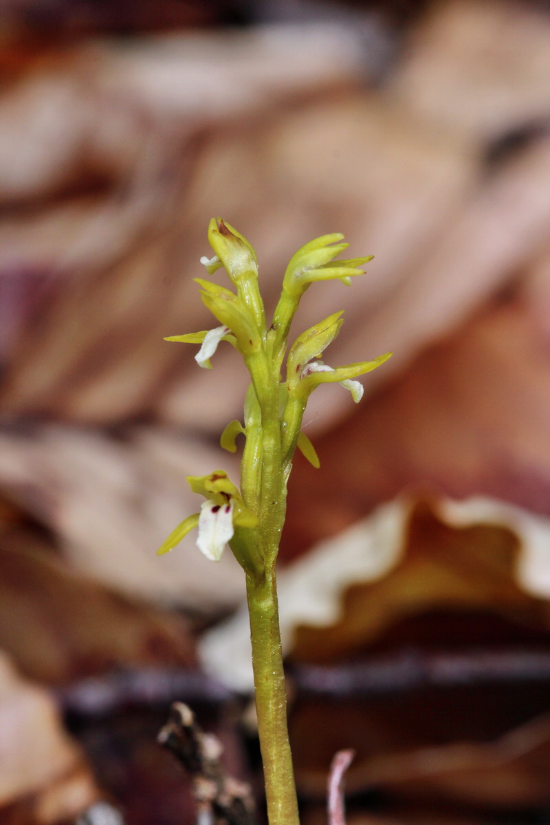 2014_04_21_00040565p_Bildgr��e �ndern