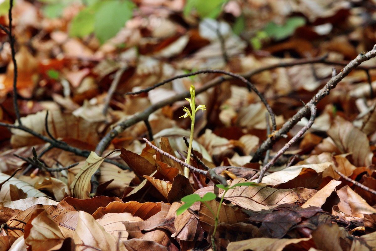 2014_04_21_00040568p_Bildgr��e �ndern